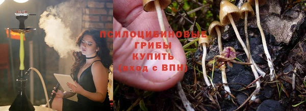 ALPHA PVP Михайловск