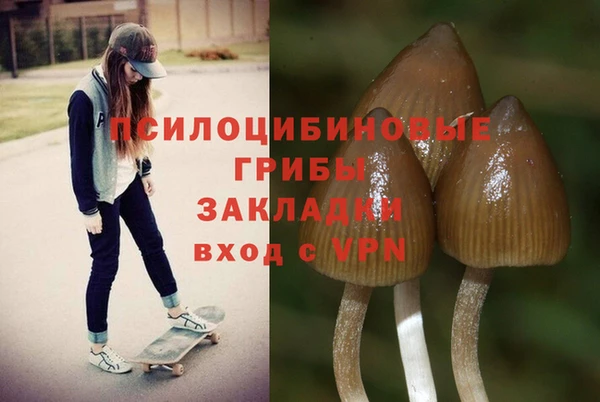 не бодяженный Михайлов
