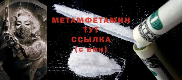 индика Инсар
