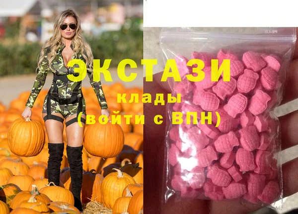 индика Инта
