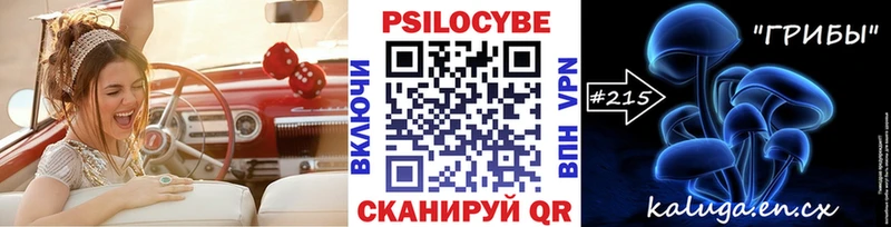 Галлюциногенные грибы Psilocybine cubensis  закладки  Брюховецкая 